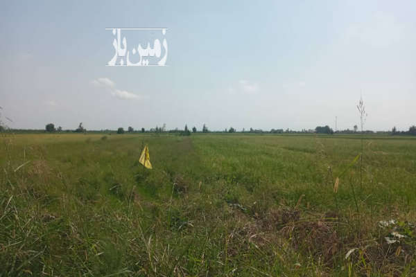 زمین کشاورزی درویش خیل روستای حاجی اباد ۳۸۲۶ متر-1