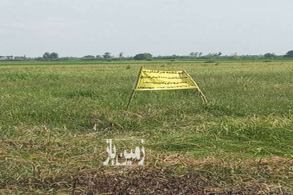 زمین کشاورزی درویش خیل روستای حاجی اباد ۳۸۲۶ متر-2