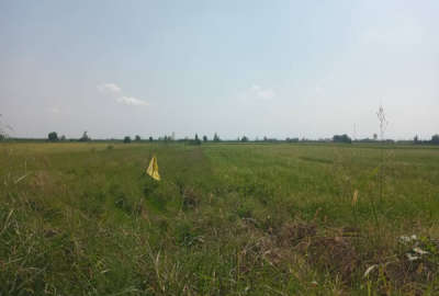 زمین کشاورزی درویش خیل روستای حاجی اباد ۳۸۲۶ متر