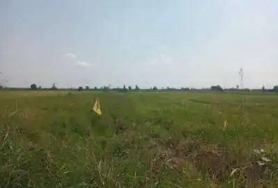زمین کشاورزی درویش خیل روستای حاجی اباد ۳۸۲۶ متر