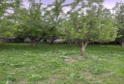 باغ ۱۵۰۰ متر با خانه مرند روستای دولت آباد راه لاچین