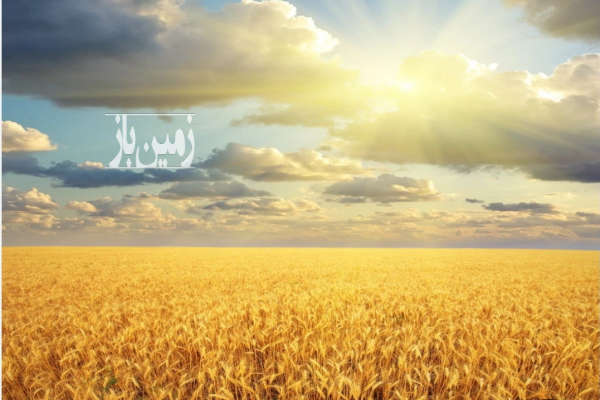 سه قطعه زمین ده هکتاری روستای برمکان سند دار-2