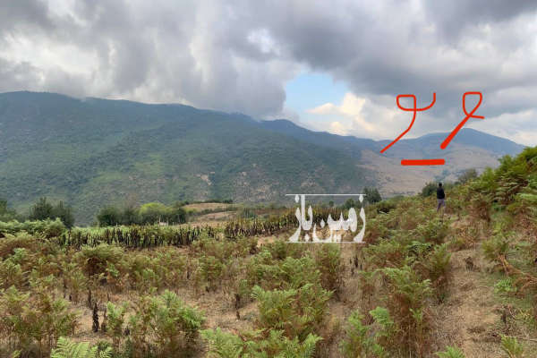 زمین باغی در روستای ییلاقی ولیکبن دودانگه ۱۰۰۰ متر-2