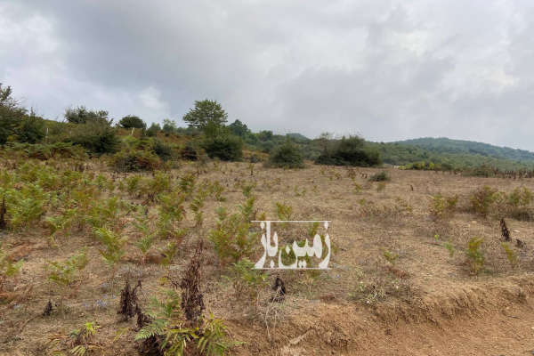 زمین باغی در روستای ییلاقی ولیکبن دودانگه ۱۰۰۰ متر-3