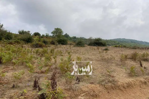 زمین باغی در روستای ییلاقی ولیکبن دودانگه ۱۰۰۰ متر - تصویر 3