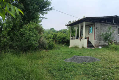 زمین مسکونی قائمشهر خیابان تهران روستای واسکس ۱۰۰۰ متر