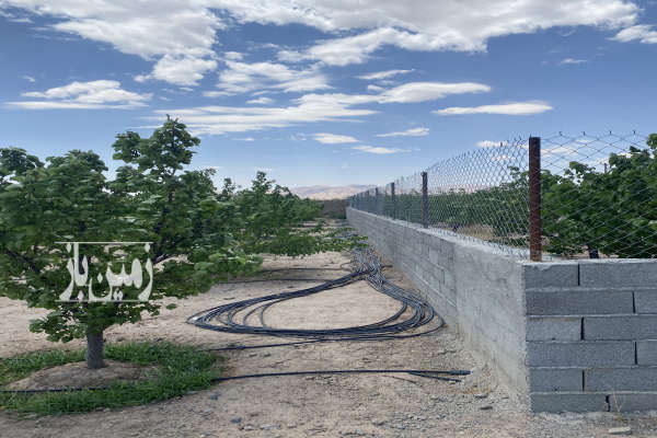 باغ ۱۰۰۰ متری ۱۰ ساله شهرستان شاهرود روستای دهخیر-2