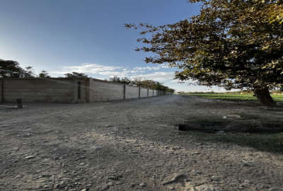 زمین کشاورزی صفادشت روستای ارسطو ۵۳۶۴ متر