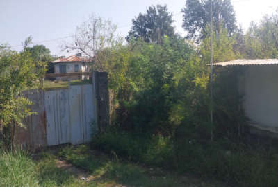 زمین مسکونی و باغی ۵۲۰۰ متر جاده کپورچال به ابکنار