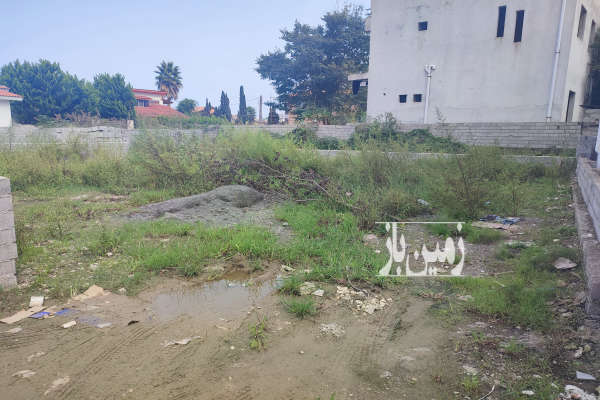 زمین در منطقه سیسنگان نوشهر داخل بافت ۳۰۰ متر-1