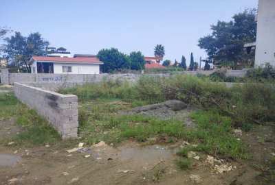 زمین در سیسنگان نوشهر ۲۰۰ متری دارای جواز