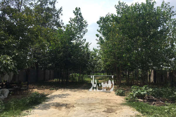 زمین مسکونی روستای پس ویشه ۹۵۲ متر-2