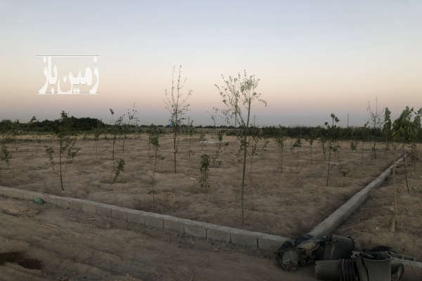 باغ واقع در ترپاق تپه از توابع بکه شهریار ۵۰۰ متر-1