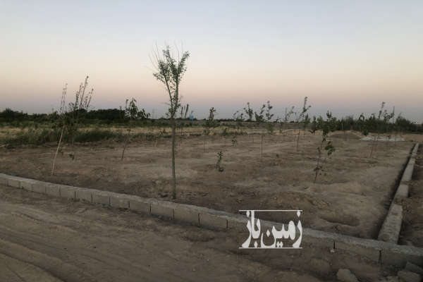 باغ واقع در ترپاق تپه از توابع بکه شهریار ۵۰۰ متر-3