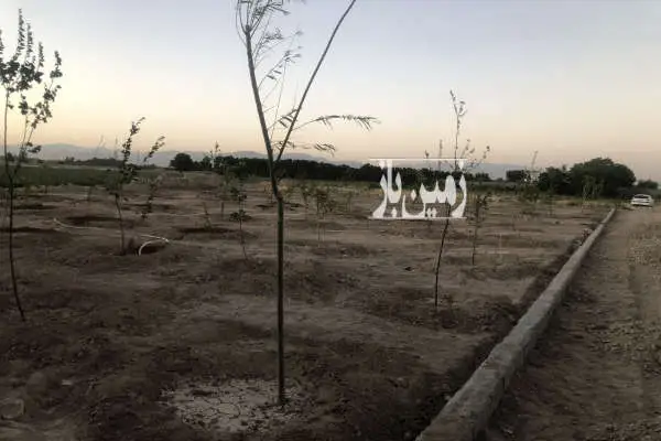 باغ واقع در ترپاق تپه از توابع بکه شهریار ۵۰۰ متر - تصویر 3