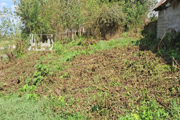 زمین در رشت کوچصفهان روستای گیلوا ۸۵۰ متر-1