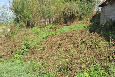 زمین در رشت کوچصفهان روستای گیلوا ۸۵۰ متر