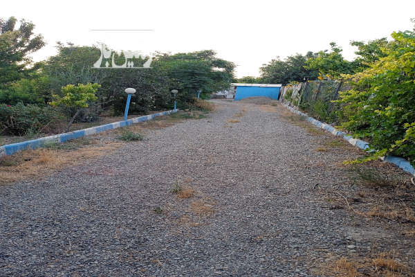 باغ میوه در شهررینرسیده به روستای گل حصار ۲۵۵۰ متر-1