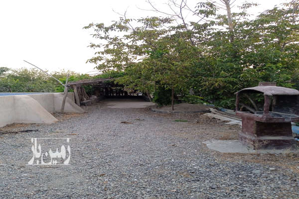 باغ میوه در شهررینرسیده به روستای گل حصار ۲۵۵۰ متر-4