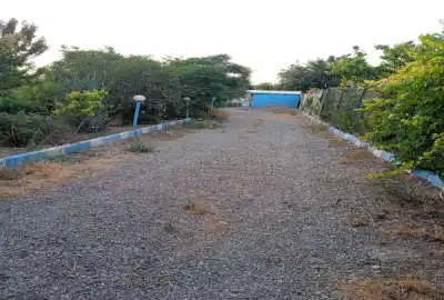 باغ میوه در شهرری نرسیده به روستای گل حصار ۲۵۵۰ متر