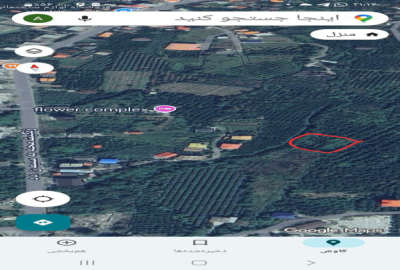 زمین کشاورزی باغ پرتقال ۳۵۰ متر روستای زنگیشامحله