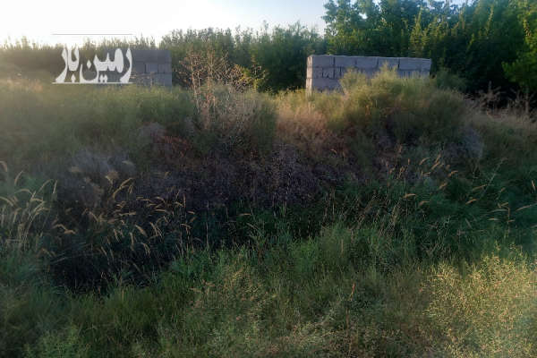 زمین باغچه ۳۸۰ متر کشتیبان روستای یوالار-2
