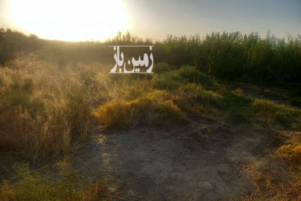 زمین باغچه ۳۸۰ متر کشتیبان روستای یوالار-3