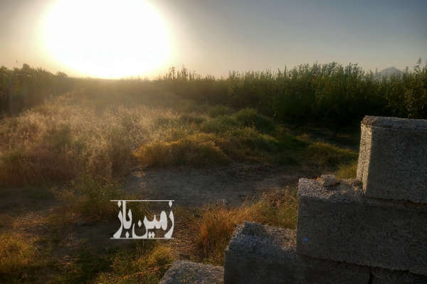 زمین باغچه ۳۸۰ متر کشتیبان روستای یوالار-4
