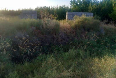 زمین باغچه ۳۸۰ متر کشتیبان روستای یوالار