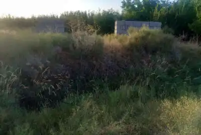 زمین باغچه ۳۸۰ متر کشتیبان روستای یوالار