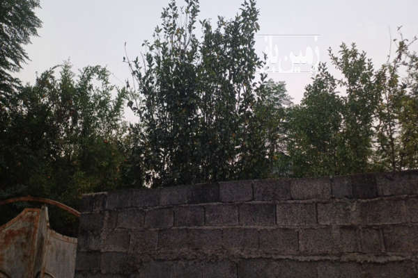 زمین نقلی در چوکام دارای پروانه ساخت ۱۸۰ متر-3