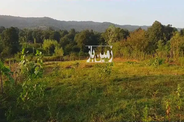 زمین ۱۰۰۰ متر سوادکوه روستای بشل - تصویر 2