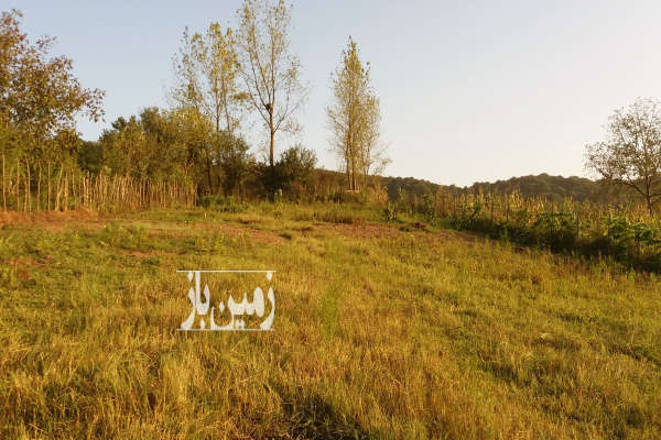 زمین ۱۰۰۰ متر سوادکوه روستای بشل-3