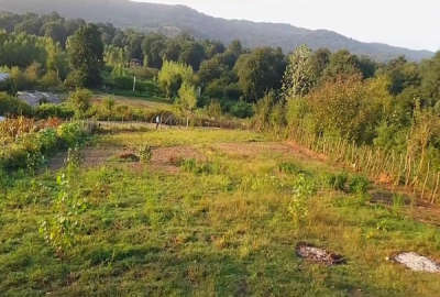 زمین ۱۰۰۰ متر سوادکوه روستای بشل