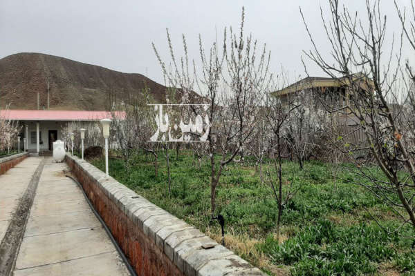 باغ ۲۵۰۰ متر در روستای امند ایوند-2