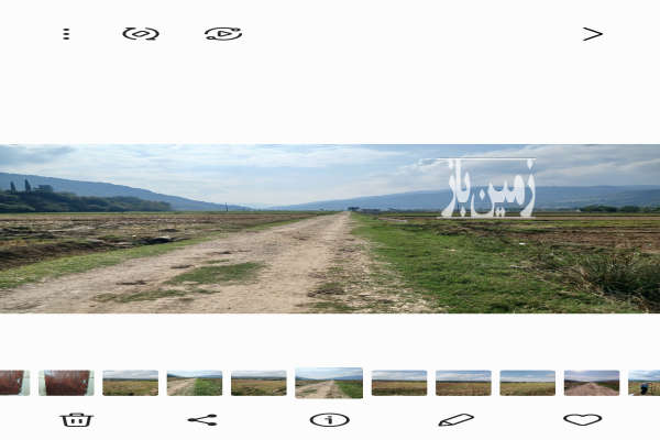 زمین شالیزاری ۱۵۰۰ متر جاده کیاسر ساری روستای گرمستان-4