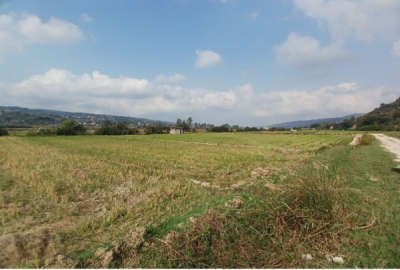 زمین شالیزاری ۱۵۰۰ متر جاده کیاسر ساری روستای گرمستان