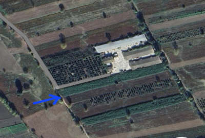 زمین کشاورزی ۵۰۰۰ متری روستای کارکنده