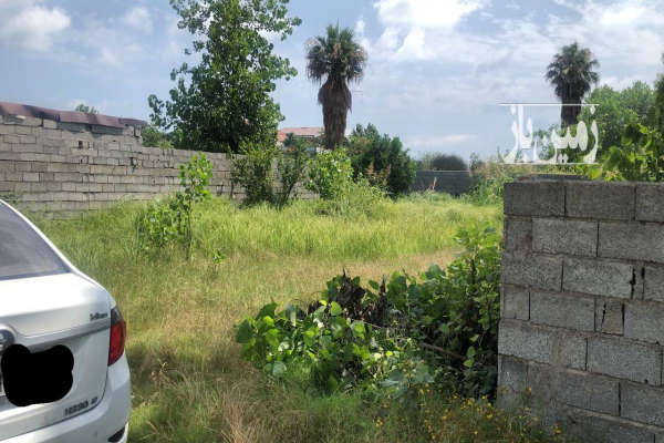 زمین ساحلی ۳۲۰ متری دارای انشعابات-2