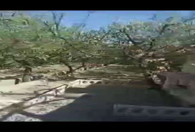 باغچه ۴۰۰ متر داخل شهرک ماهدشت سردراباد