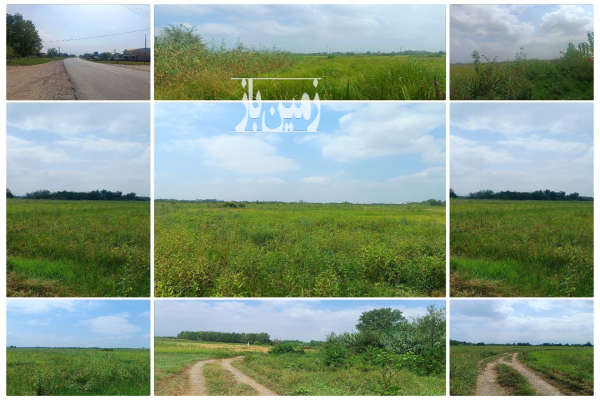 زمین شالیزار سنتی با بنای کلنگی ۱۵۰۰۰۰ متر-1