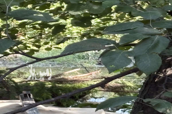 زمین نقلی رویان دهکده توریستی خرم اباد ۹۱ متر-1