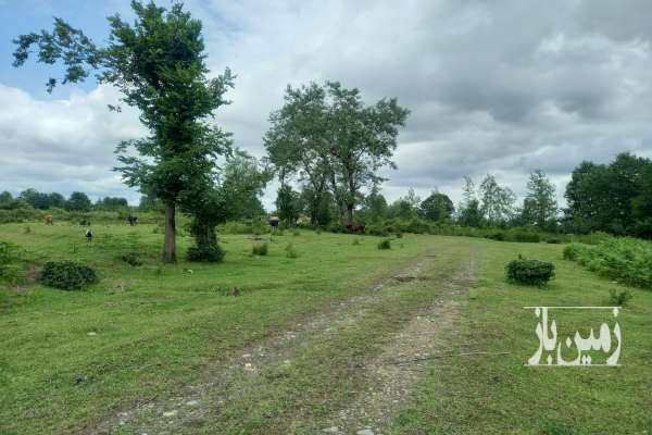 زمین مرغداری با مجوز سیاهکل خرارود چالشم ۵ هکتار-3