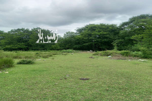 زمین مرغداری با مجوز سیاهکل خرارود چالشم ۵ هکتار-4