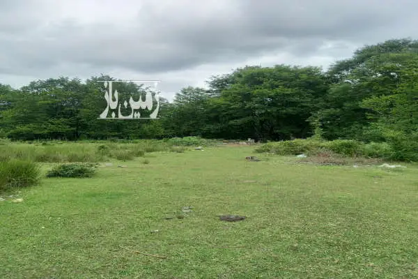 زمین مرغداری با مجوز سیاهکل خرارود چالشم ۵ هکتار - تصویر 4