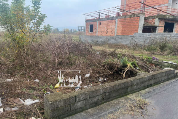 زمین ۳۰۰ متر چالوس فرج آباد-1