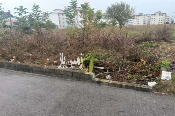 زمین ۳۰۰ متر چالوس فرج آباد-2