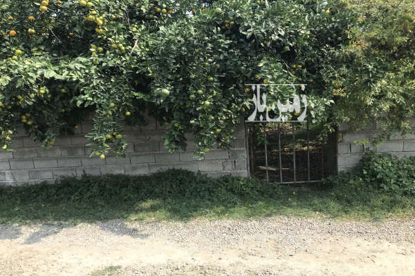 زمین ۱۶۵متر مسکونی در جویبار روستای سروکلا-3