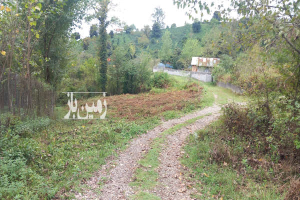 زمین ۱۰۰۰متری فوق العاده عالی لاهیجان روستای مازی کله-1