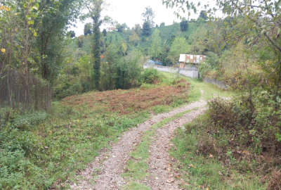 زمین ۱۰۰۰متری فوق العاده عالی لاهیجان روستای مازی کله